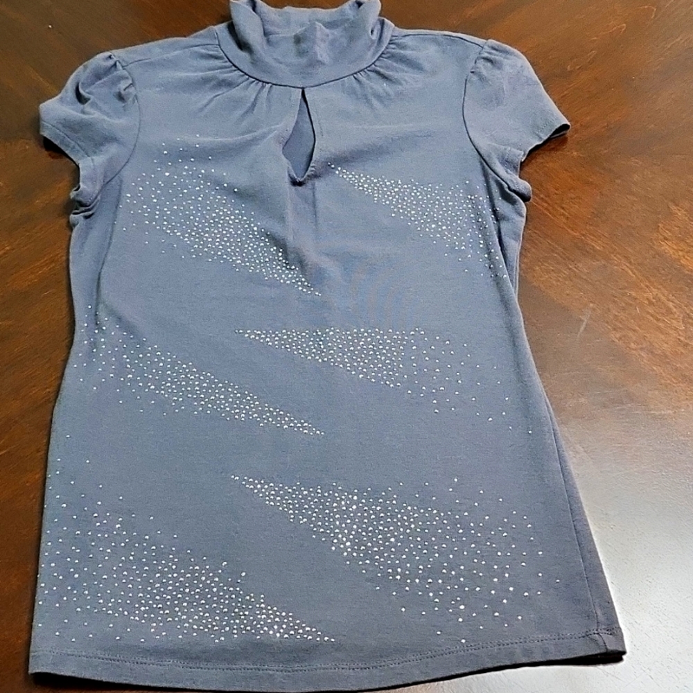 Express sliver sparkle turtle neck top